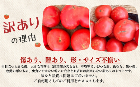 《先行予約》 訳アリ 大玉トマト 麗月 1kg ≪有機JAS認証≫ トマト 【61-17】