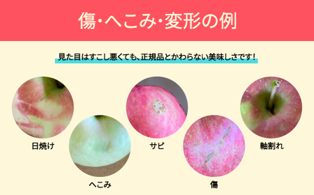 【先行予約】りんご 品種おまかせ 10kg 色むら 傷あり へこみ 変形 ◯秀 無印 2026年産 ja-ri3kx10