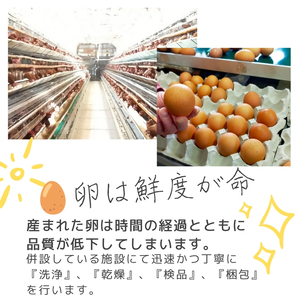 1521 こだわり 自慢のたまご 美食卵 60個 伊勢産 野呂養鶏場 ふるさと納税 玉子 国産 新鮮 濃厚 たまご 卵 生卵 とれたて 卵かけごはん TKG お取り寄せ グルメ 伊勢志摩 三重県 伊勢市