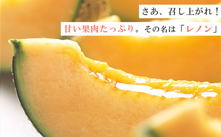 【先行予約】レノンハート2個　※離島への配送不可　※2026年5月下旬～6月下旬頃に順次発送予定