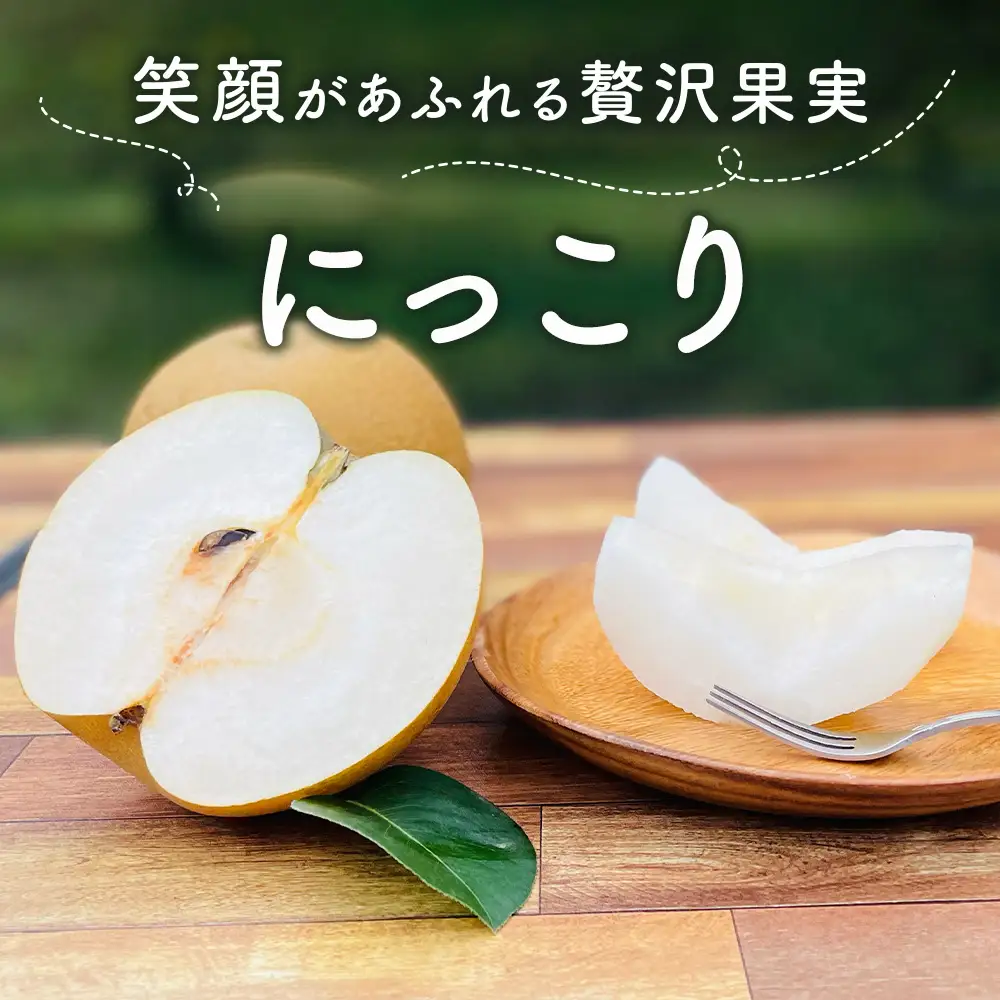 【先行予約】梨(にっこり) 2玉入り×1箱 (内容量1玉900g以上) ※2026年10月上旬～11月下旬頃に順次発送予定