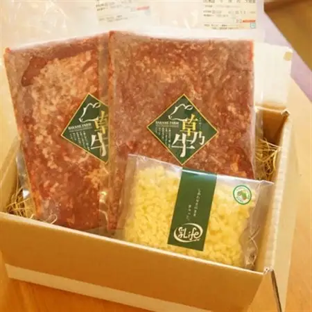 「草乃牛」のチーズハンバーグセット(ひき肉と自家製チーズ)|アニマルウェルフェア認証牧場_卵・乳製品 チーズ    肉  牛肉 _【配送不可地域：離島】【1496156】