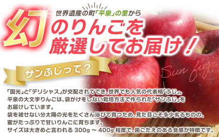 【先行予約】【12月上旬より順次発送】大文字りんご園 サンふじ 約3kg (7～10玉) 【dma513-sf-3C】