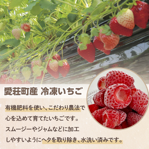採れたて瞬間冷凍！　滋賀県愛荘町産　冷凍いちご 3kg（500g×6）品種ミックス  BJ06