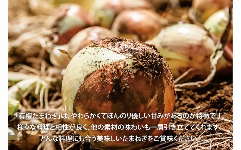 新玉ねぎ 約５kg 有機たまねぎ