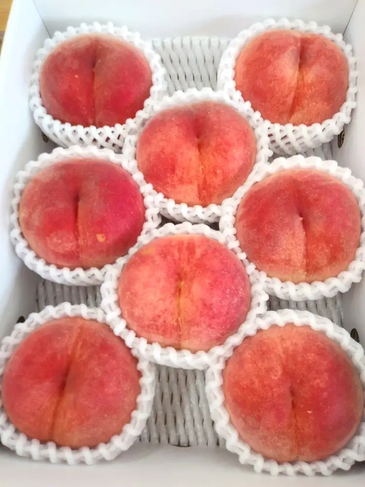 山形の旬の桃（品種おまかせ）３ｋｇ　0030-2610