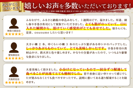 a27-013　マグロ 中トロ 訳あり 刺身 冷凍 炙り 寿司 丼 ぶつ切り まぐろ専門店 天然 本まぐろ中トロ 1kg