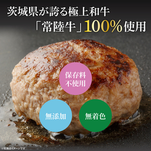 常陸牛生ハンバーグ　120g×6【牛肉100％ 和牛 真空パック 小分け 冷凍保存 ギフト お取り寄せ 無添加 北茨城市 茨城県】(AA216)