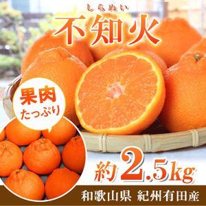 G7108_【2027年先行予約】紀州有田産 不知火 (しらぬひ) 2.5kg