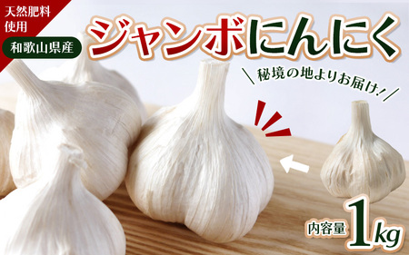 秘境の地からお届けする あゆみファームのご家庭用ジャンボにんにく １kg【2026年7月下旬から順次発送】/ にんにく ニンニク ジャンボにんにく 予約受付 ガーリック 和歌山【aym009】