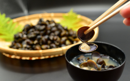 網走湖産の砂出ししじみ貝200g×5袋 【 ふるさと納税 人気 おすすめ ランキング しじみ シジミ 蜆 しじみ貝 シジミ貝 貝シジミ汁 しじみ汁 貝 砂抜き 砂出し 冷凍 1kg 網走湖 網走湖産 オホーツク 北海道 網走市 送料無料 】 ABAO2194