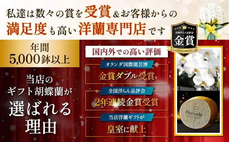 洋蘭 洋蘭ギフトS 鉢花 （高さ30～40cm） 【森水木のラン屋さん】