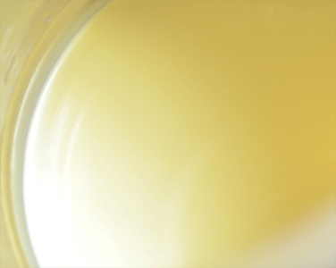 【牧場直送】薫る野牛乳500ml×5本セット　ノンホモ　低温殺菌　ジャージー牛　山地酪農　24時間365日放牧【 薫る野牧場 神奈川県 山北町 】