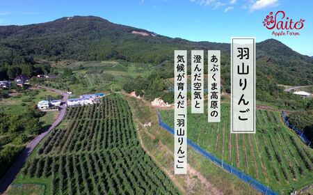 りんご《2026年10月下旬以降順次発送》羽山のりんご 秋茜L～2Lサイズ5kg りんご リンゴ 果物 フルーツ【斎藤りんご園】