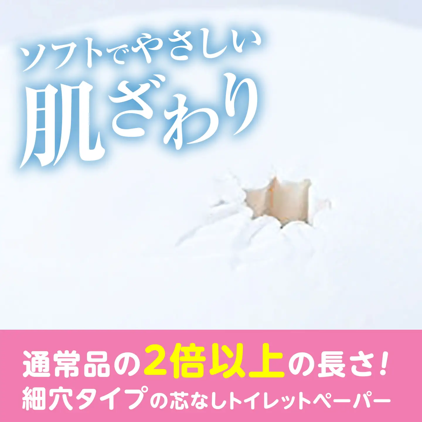【隔月 全6回定期便】【細穴タイプ】 トイレットペーパー ダブル 24ロール 長巻き 65m (6ロール×4パック) 宅配 コアレス [VAA071]