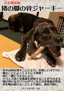【完全無添加！】猟師が手がける猪の脚と肩甲骨のジャーキーセット【 ペットフード ジビエ 】