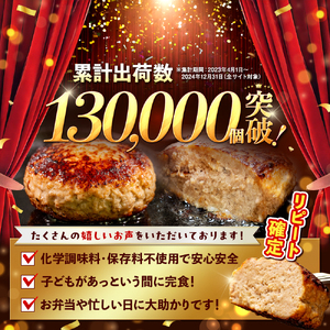 四万十ポーク入り  ハンバーグ 200g x 6個 1.2kg はんばーぐ 