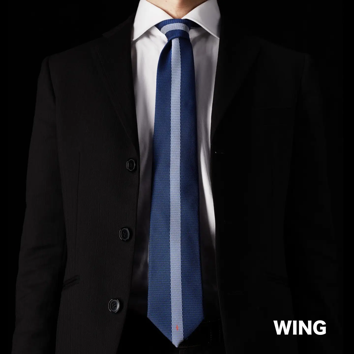 TSURUIKI　甲州織物ネクタイ　【WING】【リード】｜ネクタイ 甲州織物 甲斐絹 郡内織 甲州織 シルク
