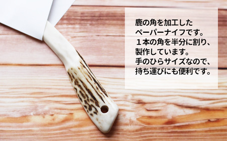 鹿の角 ペーパーナイフ 小 1個 右手用 【竜鹿】／ 鹿角 鹿 しか シカ グッズ 本物 加工 加工品 工芸 工芸品 クラフト ナイフ 右利き 日用品 雑貨 不揃い ふぞろい １個 人気 事務用品 事務 オフィス オフィス用品 文具 文房具 おすすめ