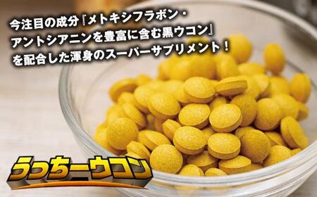 うっちーウコン粒 300粒