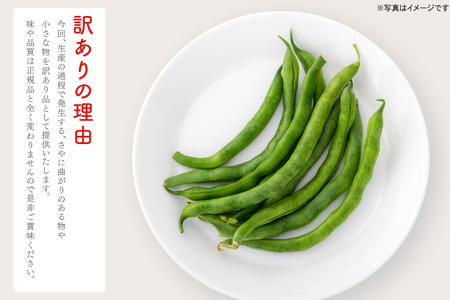 いんげん 訳あり 2kg 数量限定 いんげん豆