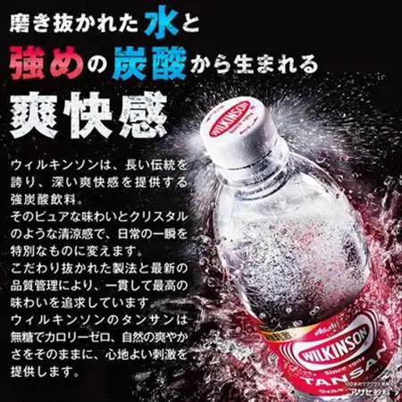 【毎月定期便】【6か月お届け】ウィルキンソン タンサン 1000ml【12本入】アサヒ飲料全6回【4050117】