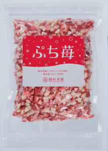 いちご 【3ヶ月定期便】 冷凍いちご 1㎏ (500g×2パック) 【定期便3ヶ月】完熟冷凍いちご「ぷち苺」1kg 500g×2パック 園村苺園 熊本県産冷凍いちご 宇城市産冷凍いちご 九州産冷凍いちご 