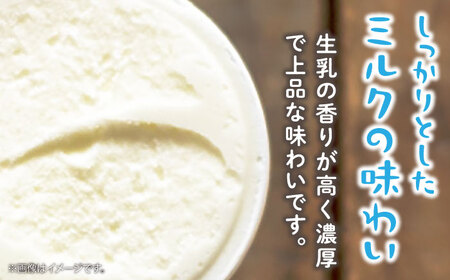 ジェラート 濃厚ミルク 6個入り / ジェラート じぇらーと アイスクリーム あいすくりーむ スイーツ デザート / 南島原市 / 高原ファーム [SFP001]