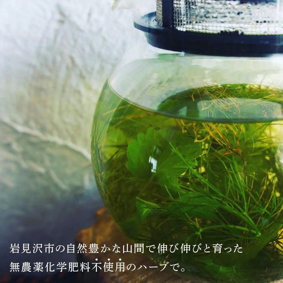【定期便】森のハーブティーセット(3点合計39g)  ≪2ヶ月に1回 計3回のお届け≫【無農薬・化学肥料不使用】【51102】