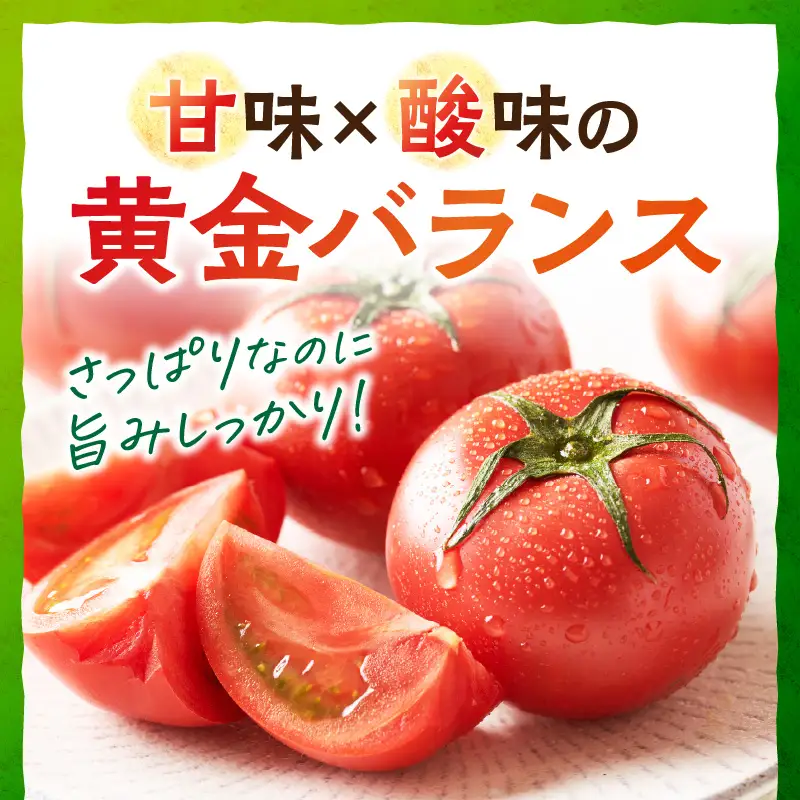 【トマト】京トマト 4kg（2026年5月中旬～発送）