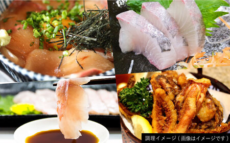 【五島列島直送】朝獲れ鮮魚セット6kg 五島市/鯛福丸水産[PDP012]   魚 鮮魚 セット 海鮮 直送 さかな 詰合せ 冷蔵
