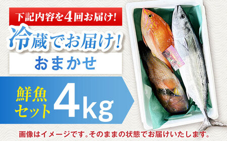 【全4回定期便】【五島列島直送】朝獲れ鮮魚セット4kg 五島市/鯛福丸水産[PDP014]   魚 鮮魚 セット 海鮮 直送 さかな 詰合せ 冷蔵