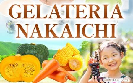 ジェラート 6種 6個 バラエティーセット GELATERIA NAKAICHI《30日以内に出荷予定(土日祝除く)》岩手県 九戸村 ジェラート アイス ミルク チョコ 抹茶 リンゴ ラムレーズン ジェラート ジェラート ジェラート 