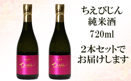 日本酒 純米酒 ちえびじん 720ml 2本セット 【中野酒造】 世界一 受賞 日本酒 初心者 フルーティー 人気 ギフト 九州 大分県 地酒 美味しい おすすめ ランキング ＜110-001＞