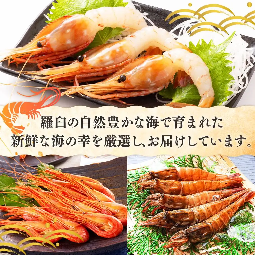 知床羅臼 3種えび食べ比べセット｜えび　刺身　北海道