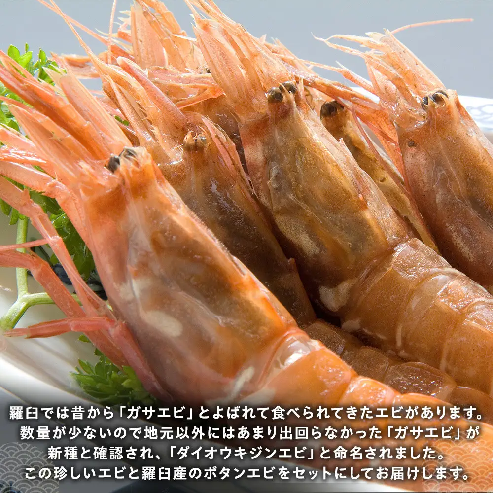 ダイオウキジンエビとボタンエビのセット｜羅臼　北海道