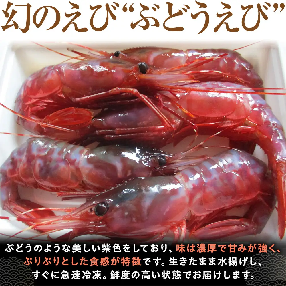 幻のぶどうえび（大・250g /4～6尾）｜羅臼産　えび