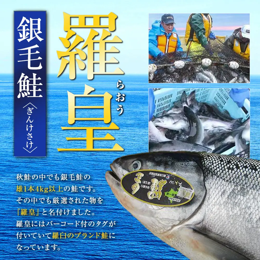 羅臼産 鮭 羅皇（らおう)１尾4～5kg  魚 さけ ブランド 知床 北海道 