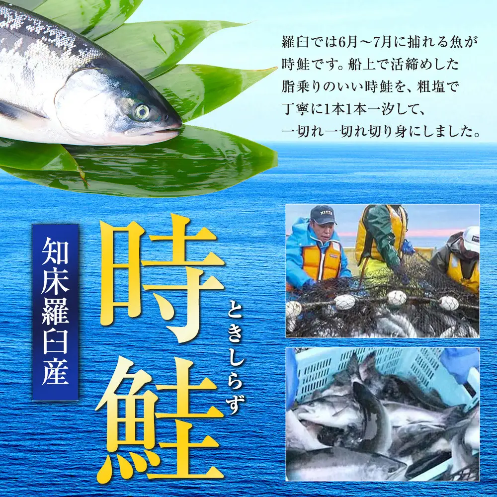 知床羅臼 ときしらず（鮭）の切り身400g  魚 さけ 国産 北海道