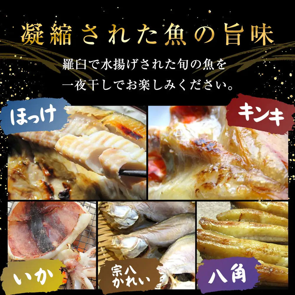 知床羅臼一夜干しセット 5種 魚 一夜干し 国産 北海道