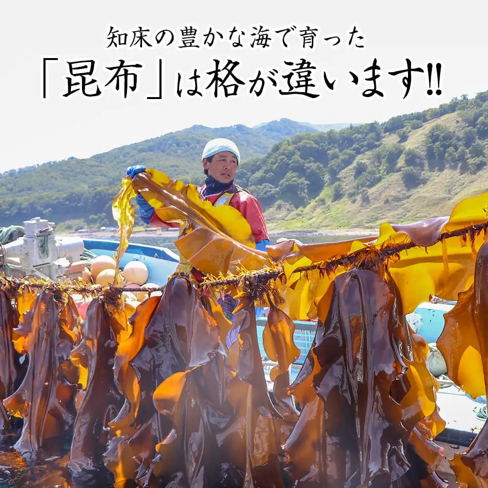 天然１等 天神さん家の花折羅臼昆布 2枚入り  ｜ 昆布 北海道 