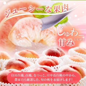 【先行予約】【厳選】あふれる果汁で口いっぱい！ 和歌山県産 桃 約2kg（6個～9個） 【2026年6月末頃～2026年8月末頃に順次発送予定】（お届け日指定不可）/ 和歌山 桃 モモ フルーツ もも 白桃 果物 くだもの【kgr001A】