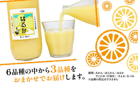 完熟 みかんジュース 化粧箱入り 木成り 1000ml×3本 こうの果樹園 みかんｼﾞｭｰｽみかんｼﾞｭｰｽみかんｼﾞｭｰｽ H020-182002