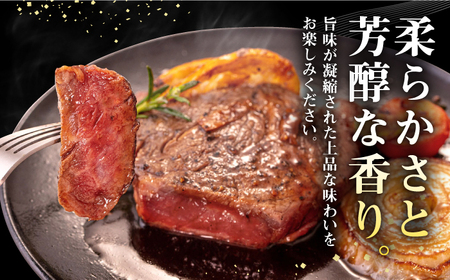 【全2回定期便】 壱岐牛 モモステーキ 300g《壱岐市》【株式会社イチヤマ】 肉 牛肉 モモ ステーキ BBQ 焼肉 [JFE119]
