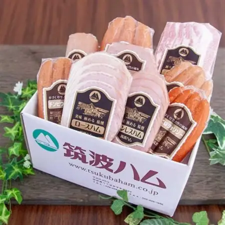 筑波ハム ハム・ベーコン・ソーセージ バラエティ9品 茨城県産 常陸の輝き ブランド豚 銘柄豚_肉 ハム 豚肉   肉 ソーセージ・ウインナー 豚肉 _【配送不可地域：離島・沖縄県】【1445478】