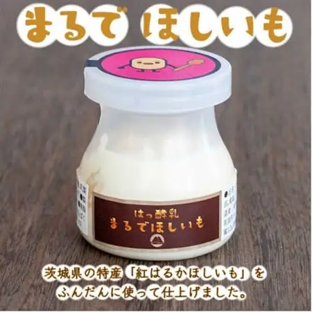 まるでほしいも計12個 (ほしいもクン特製化粧箱入り3個×4箱)_卵・乳製品 ヨーグルト    果物・フルーツ 干し芋 ドライフルーツ ほしいも ホシイモ_【配送不可地域：離島・沖縄県】【1446282】