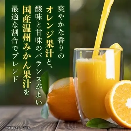 えひめ飲料　ポンジュース1L×6本_えひめ飲料 ポンジュース みかん ジュース_【配送不可地域：離島・沖縄県】【1499873】