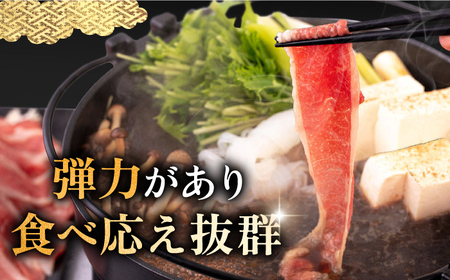 【全2回定期便】壱岐牛 ブリスケ うす切り 500g《壱岐市》【中津留】 すき焼き しゃぶしゃぶ 牛肉 [JFS083]