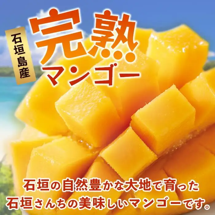 【訳あり】石垣島産 マンゴー (アーウィン種)  9～12玉(箱含め約5kg) 