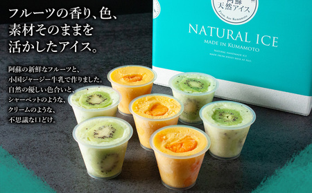 まるごとキウイ、でこぽんアイス　7個　詰め合わせ バラエティ 素材 こだわり 人気 美味しい 贅沢 冷たい 夏休み 熊本 阿蘇